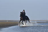 St-Peter-Ording-7-8-_197.jpg