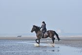St-Peter-Ording-7-8-_208.jpg
