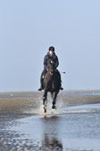 St-Peter-Ording-7-8-_219.jpg