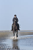 St-Peter-Ording-7-8-_221.jpg