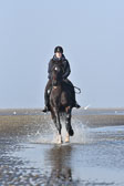 St-Peter-Ording-7-8-_224.jpg