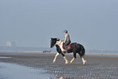 St-Peter-Ording-7-8-_241.jpg