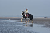 St-Peter-Ording-7-8-_244.jpg