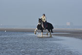 St-Peter-Ording-7-8-_245.jpg