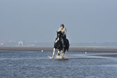 St-Peter-Ording-7-8-_248.jpg