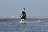 St-Peter-Ording-7-8-_251.jpg