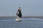 St-Peter-Ording-7-8-_252.jpg