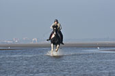 St-Peter-Ording-7-8-_253.jpg