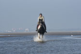St-Peter-Ording-7-8-_255.jpg