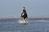St-Peter-Ording-7-8-_256.jpg