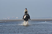 ST Peter Ording 7+8