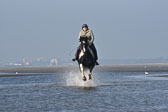 St-Peter-Ording-7-8-_259.jpg
