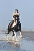 St-Peter-Ording-7-8-_274.jpg