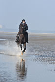 St-Peter-Ording-7-8-_296.jpg