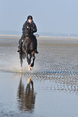 St-Peter-Ording-7-8-_298.jpg
