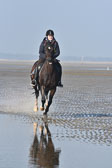St-Peter-Ording-7-8-_299.jpg