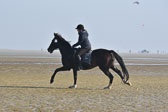St-Peter-Ording-7-8-_310.jpg