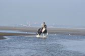 St-Peter-Ording-7-8-_324.jpg