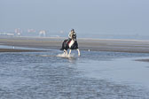 St-Peter-Ording-7-8-_329.jpg