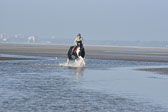 St-Peter-Ording-7-8-_331.jpg