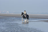 St-Peter-Ording-7-8-_335.jpg