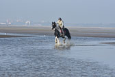 St-Peter-Ording-7-8-_337.jpg