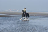 St-Peter-Ording-7-8-_339.jpg
