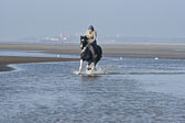 St-Peter-Ording-7-8-_342.jpg