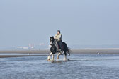 St-Peter-Ording-7-8-_347.jpg