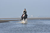 St-Peter-Ording-7-8-_349.jpg