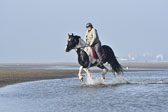 St-Peter-Ording-7-8-_353.jpg