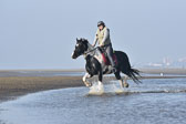 St-Peter-Ording-7-8-_354.jpg