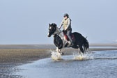 St-Peter-Ording-7-8-_355.jpg