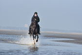 St-Peter-Ording-7-8-_370.jpg
