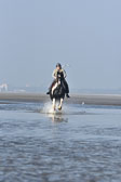 St-Peter-Ording-7-8-_384.jpg