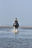 St-Peter-Ording-7-8-_387.jpg