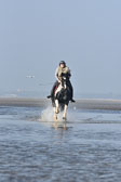 St-Peter-Ording-7-8-_393.jpg