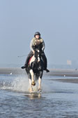 St-Peter-Ording-7-8-_407.jpg