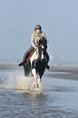 St-Peter-Ording-7-8-_410.jpg
