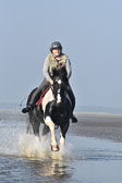 St-Peter-Ording-7-8-_412.jpg