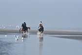 St-Peter-Ording-7-8-_431.jpg