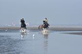St-Peter-Ording-7-8-_432.jpg