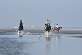 St-Peter-Ording-7-8-_434.jpg