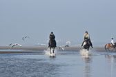 St-Peter-Ording-7-8-_437.jpg