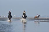St-Peter-Ording-7-8-_439.jpg