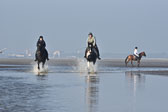 St-Peter-Ording-7-8-_440.jpg