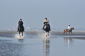 St-Peter-Ording-7-8-_441.jpg