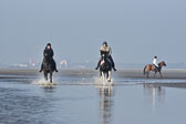 St-Peter-Ording-7-8-_442.jpg