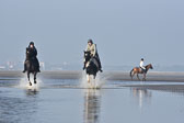 St-Peter-Ording-7-8-_443.jpg