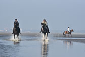 St-Peter-Ording-7-8-_445.jpg